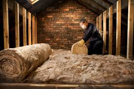 Best Batt and Roll Insulation  in Rio Grande City, TX